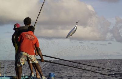 Catching tuna