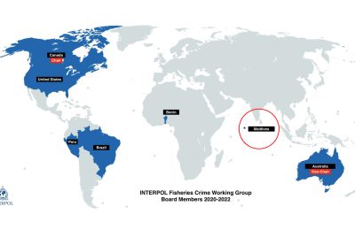 Interpol_member map