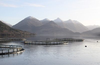 The government says it wants to 'strike the right balance' between the benefits of the aquaculture industry while managing potential environmental impacts.