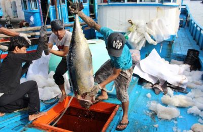 Vietnam Seafood export kuraa baeh