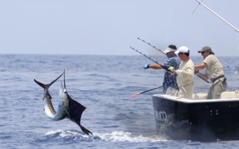 reglamentacion-pesca-deportiva-en-colombia-wspx640