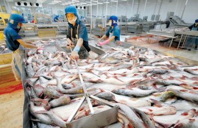 tra-fish-exports-to-eu-see-a-sharp-fall-due-to-covid-19-40-.4693